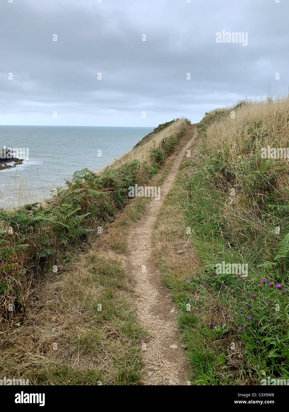 Pembrokeshire Coastal footpath - Smartphone Captured Stock Image