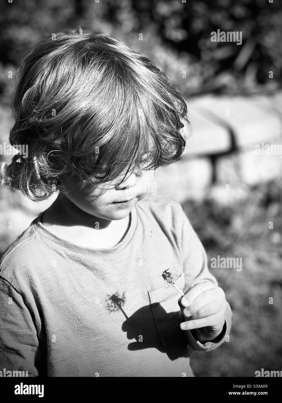 Boy looking down at seed pod with shadow Stock Photo - Alamy