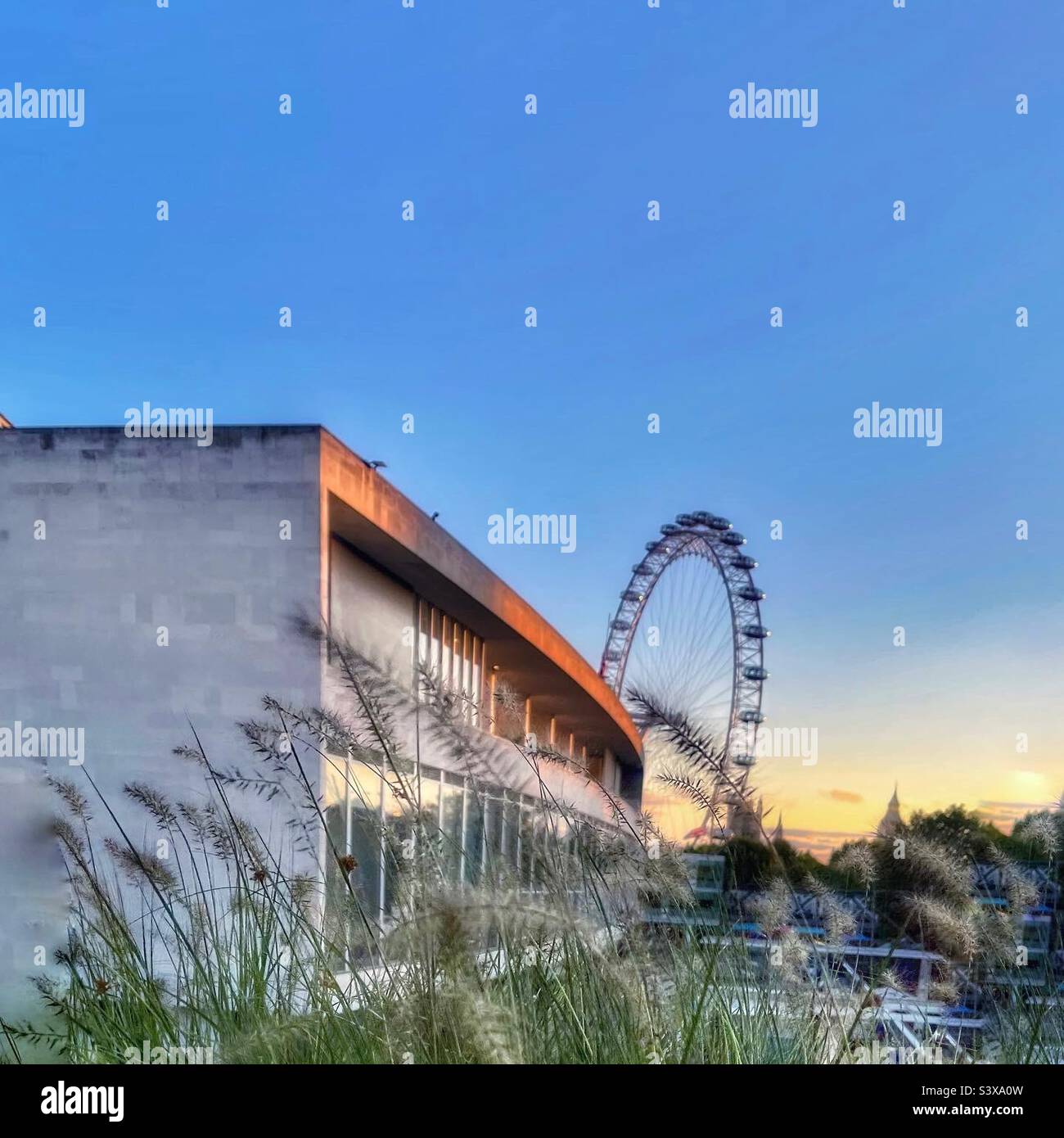 Royal Festival Hall and the London Eye seen from the South Bank Centre on the banks of the River Thames, London at sunset. - Smartphone Captured Stock Image