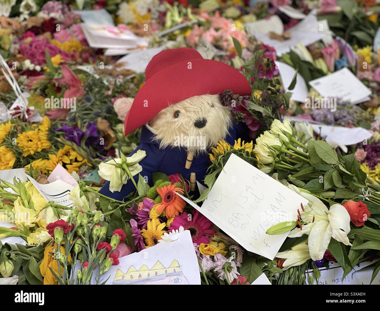 Paddington Bear amongst the floral tributes for The Queen, Green Park, London 17 September 2022 - Smartphone Captured Stock Image