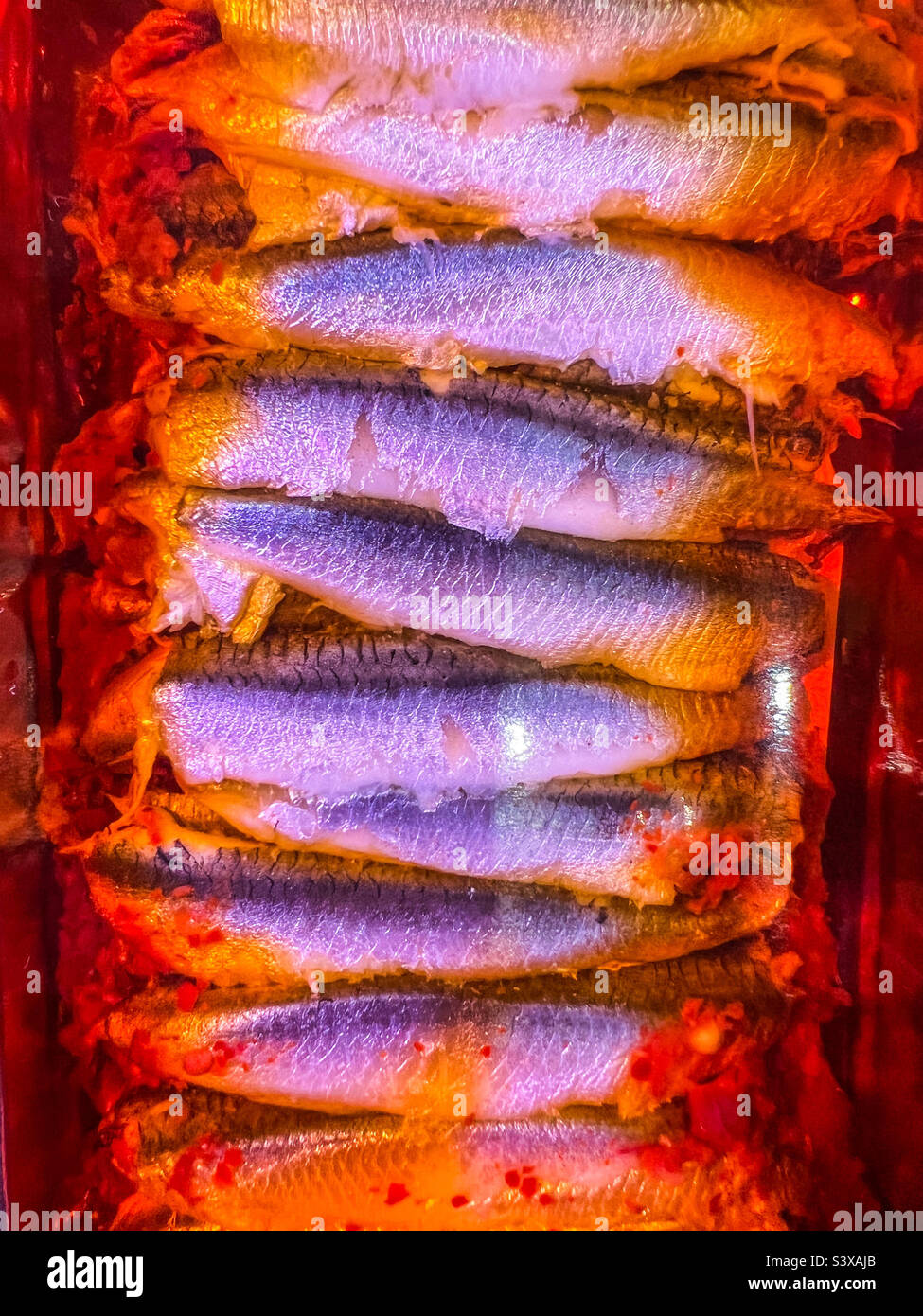 Sardines in tomato sauce Stock Photo