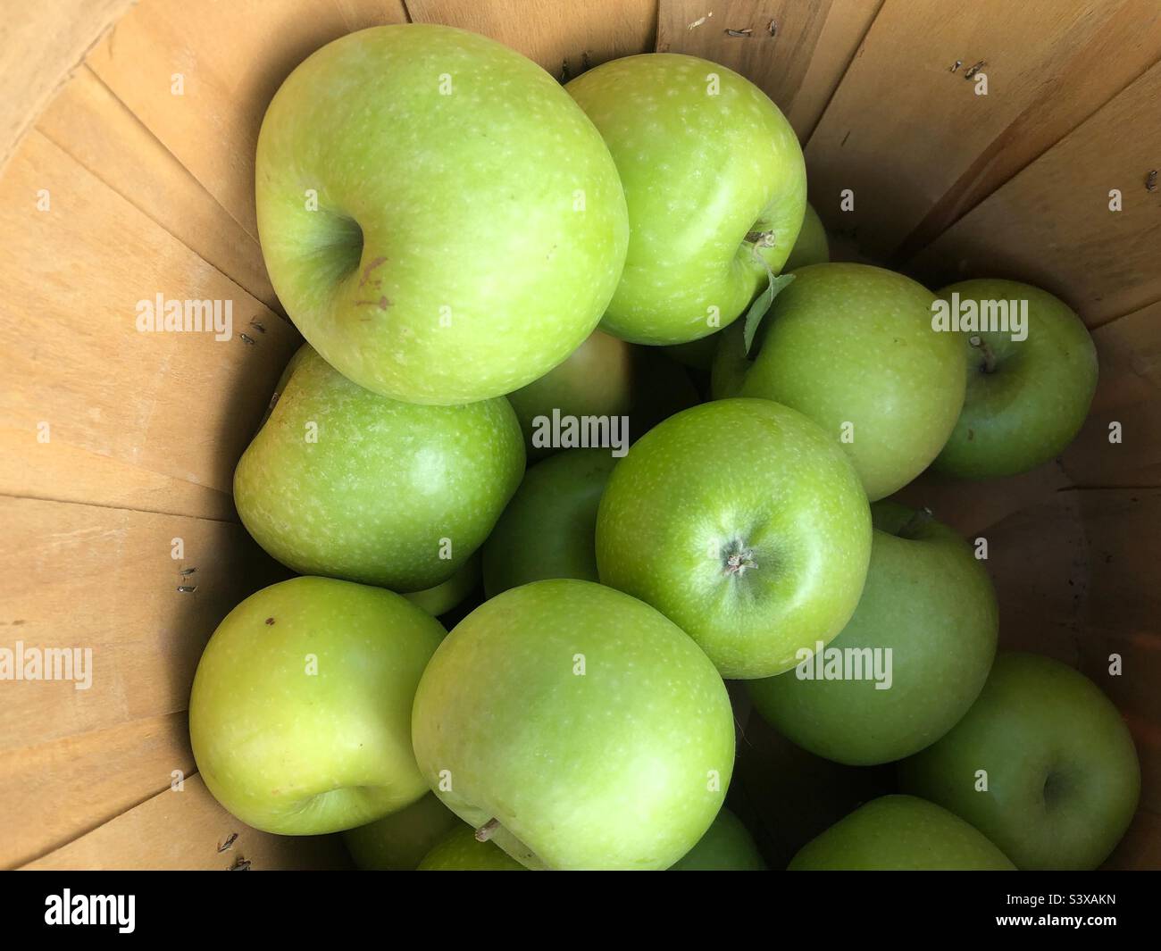 Homegrown Granny Smith apples in a rustic basket Stock Photo Alamy