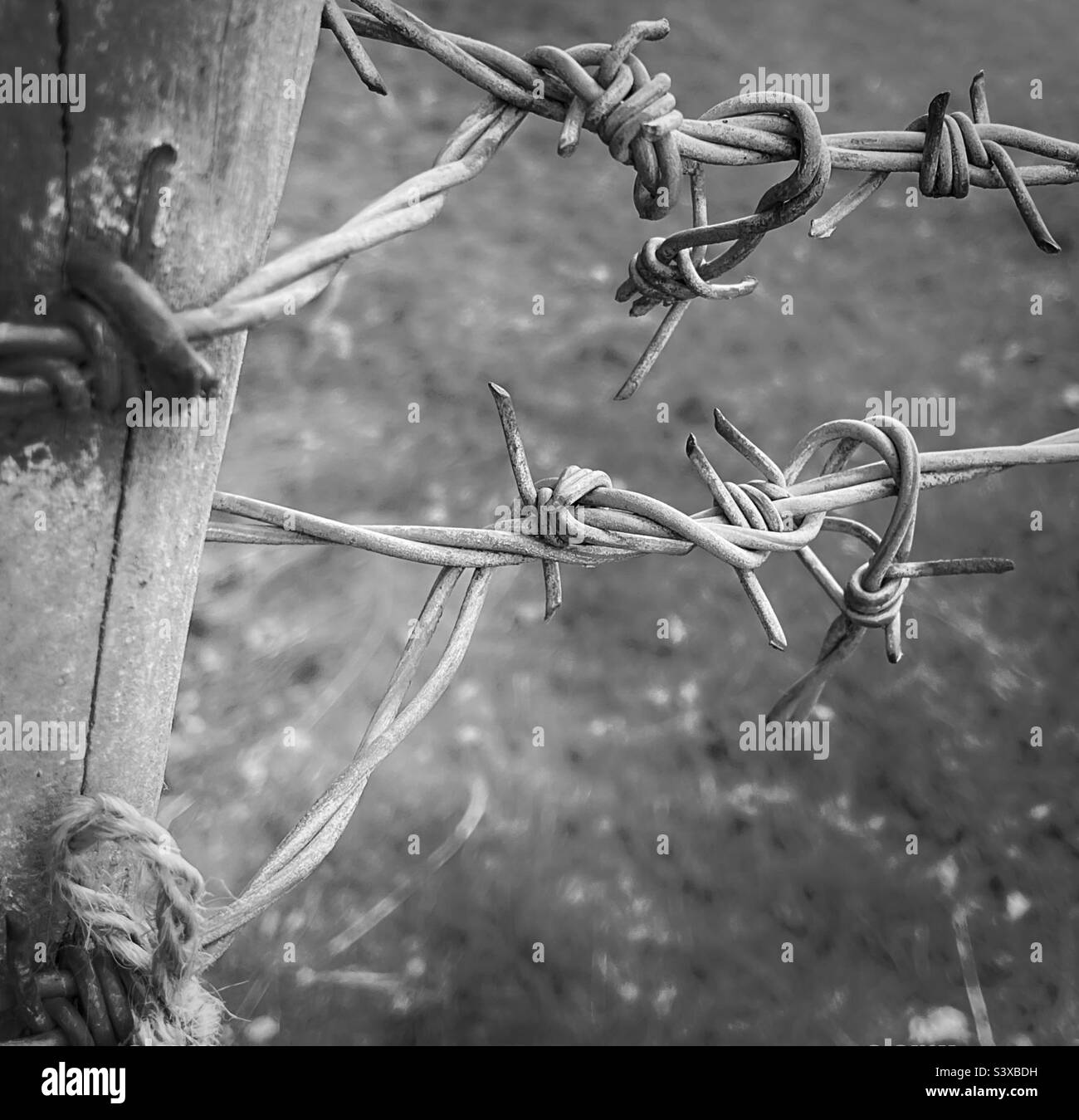 Wire farm fencing Black and White Stock Photos & Images - Alamy