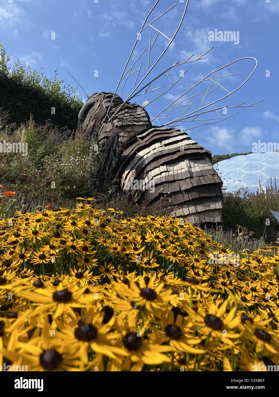 Bee sculpture at the Eden Project Stock Photo Alamy