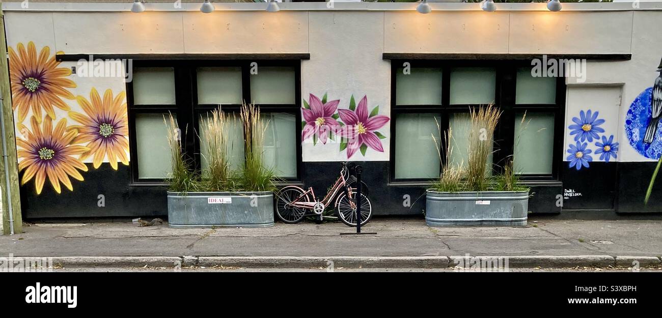 Urban street art floral display Stock Photo Alamy