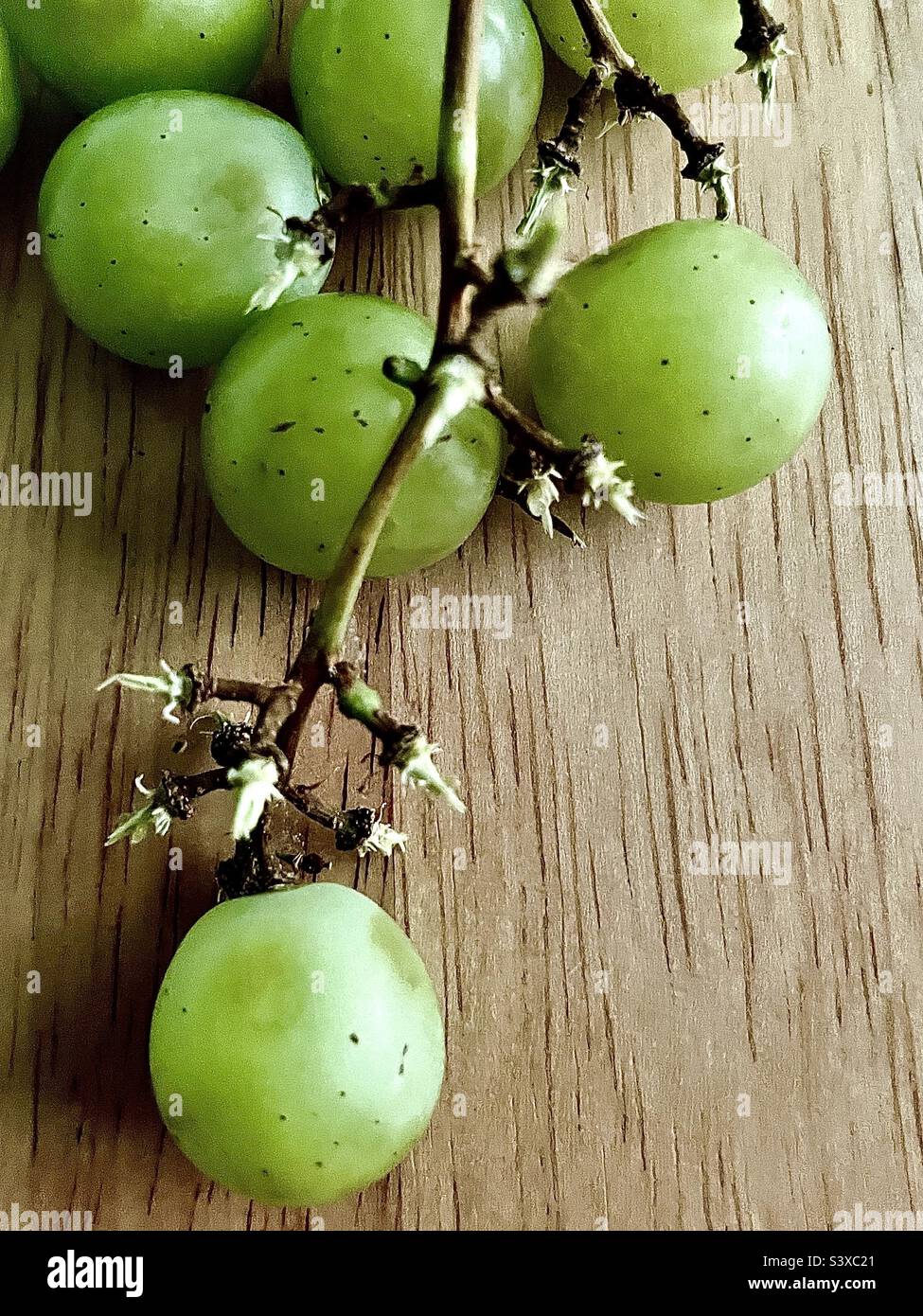 Fresh green grapes lying on a wood kitchen table. - Smartphone Captured Stock Image