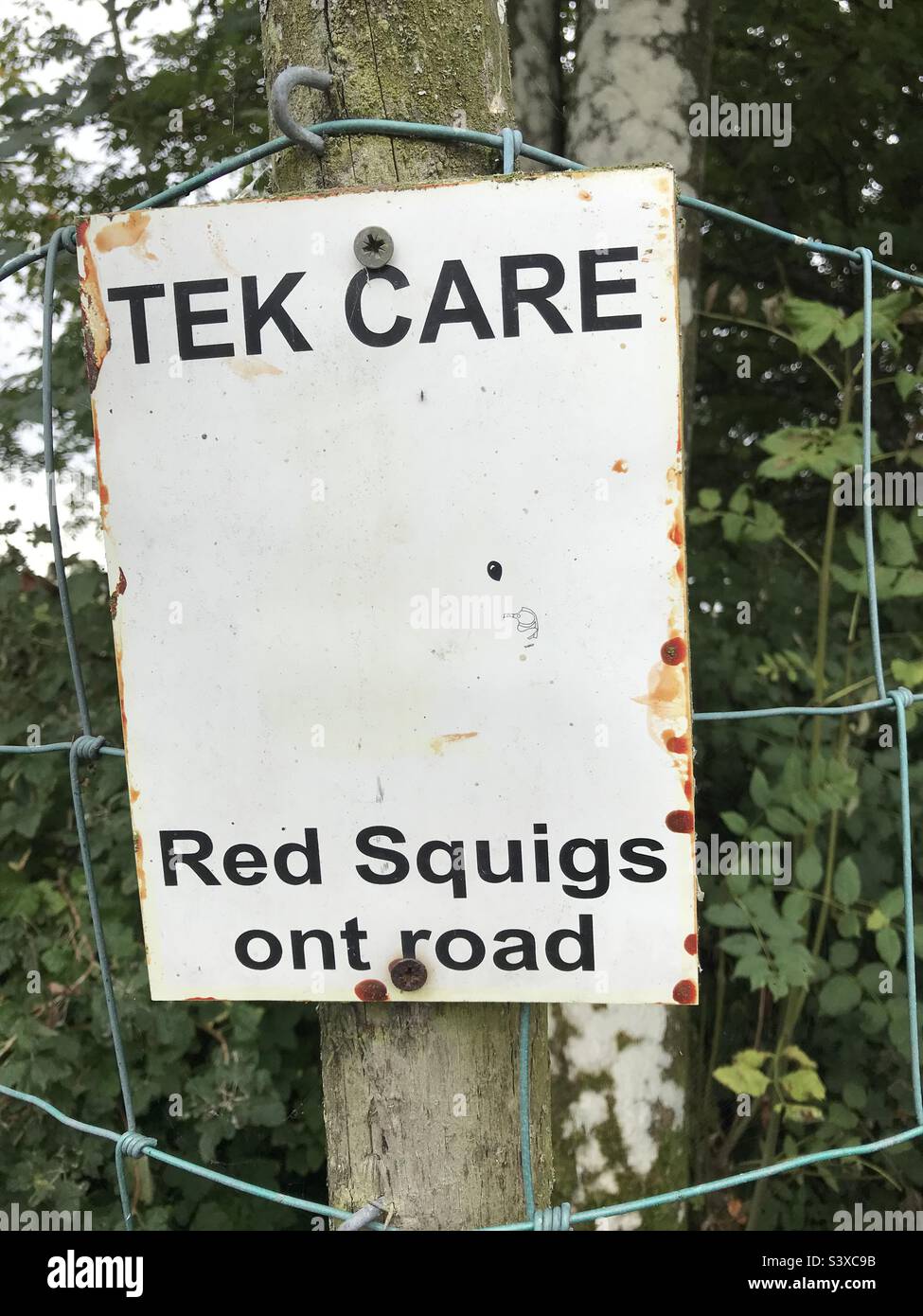 Yorkshire dialect warning sign Tek Care Take Care Red Squigs ont road Red squirrels on the road Stock Photo