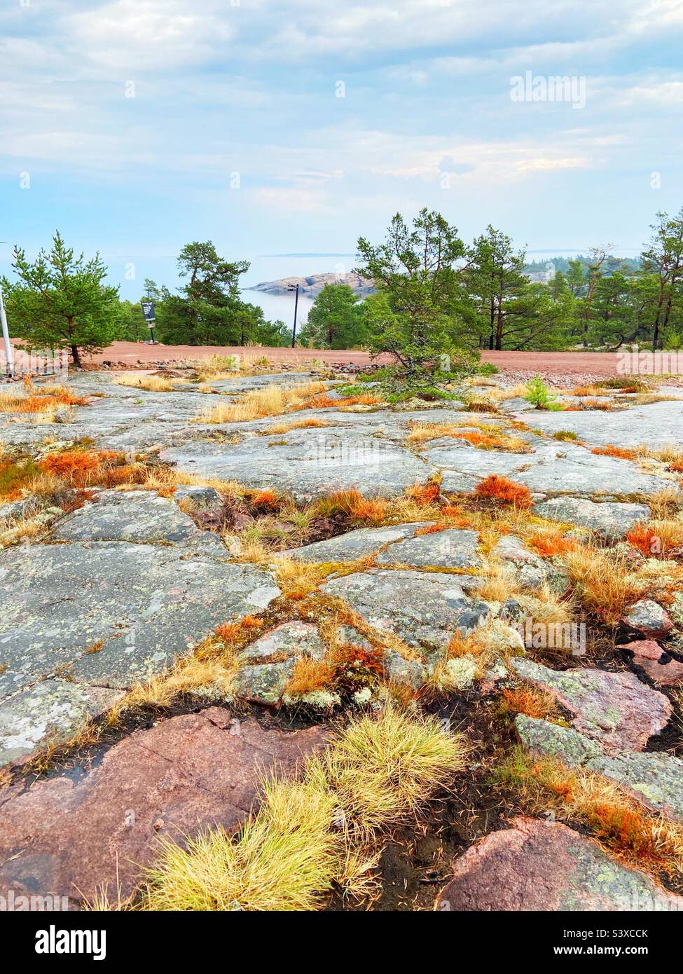 After Summer Rain - Smartphone Captured Stock Image