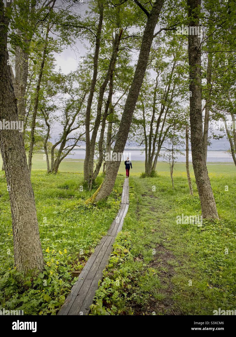 A woman strolls along a wooden walkway in the beautiful and relaxing Nötö Nature Reserve in Åland archipelago in the Baltic Sea off the coast of Finland - Smartphone Captured Stock Image