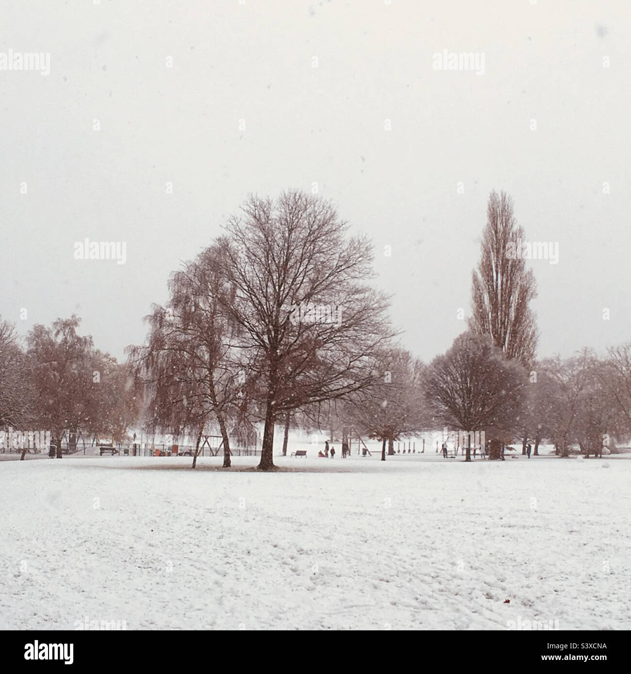 Winters day in Highams park london Stock Photo