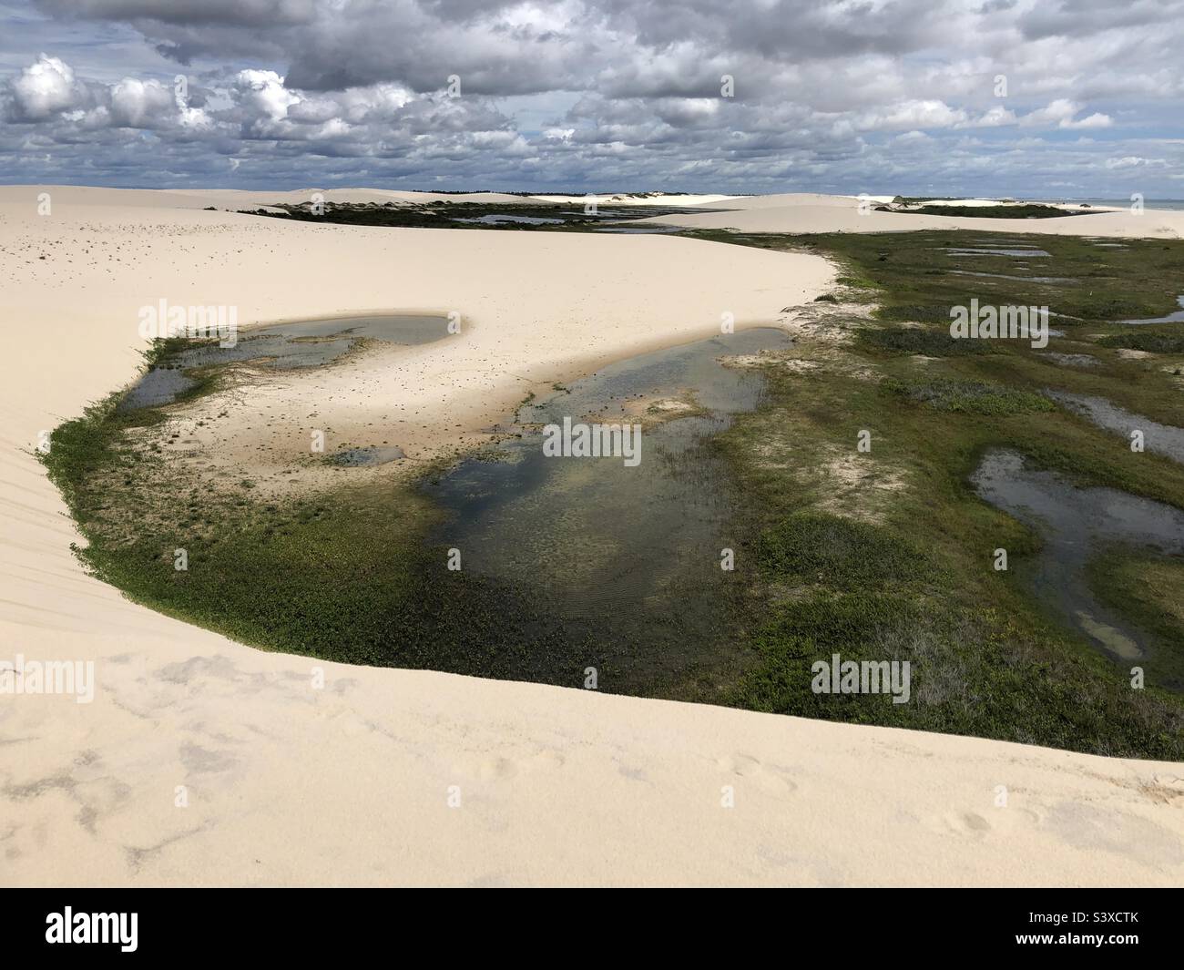 Dunes and lagoons in Brazil. Stock Photo