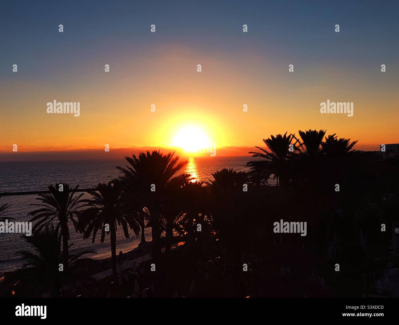 Silhouette of a tropical sunset - Smartphone Captured Stock Image