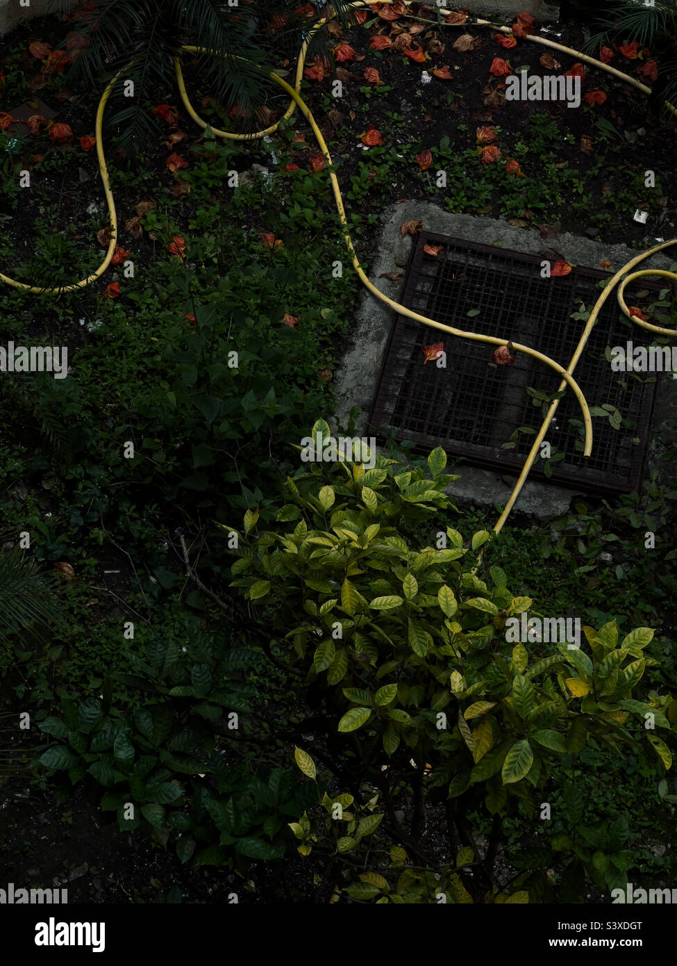 View - Smartphone Captured Stock Image