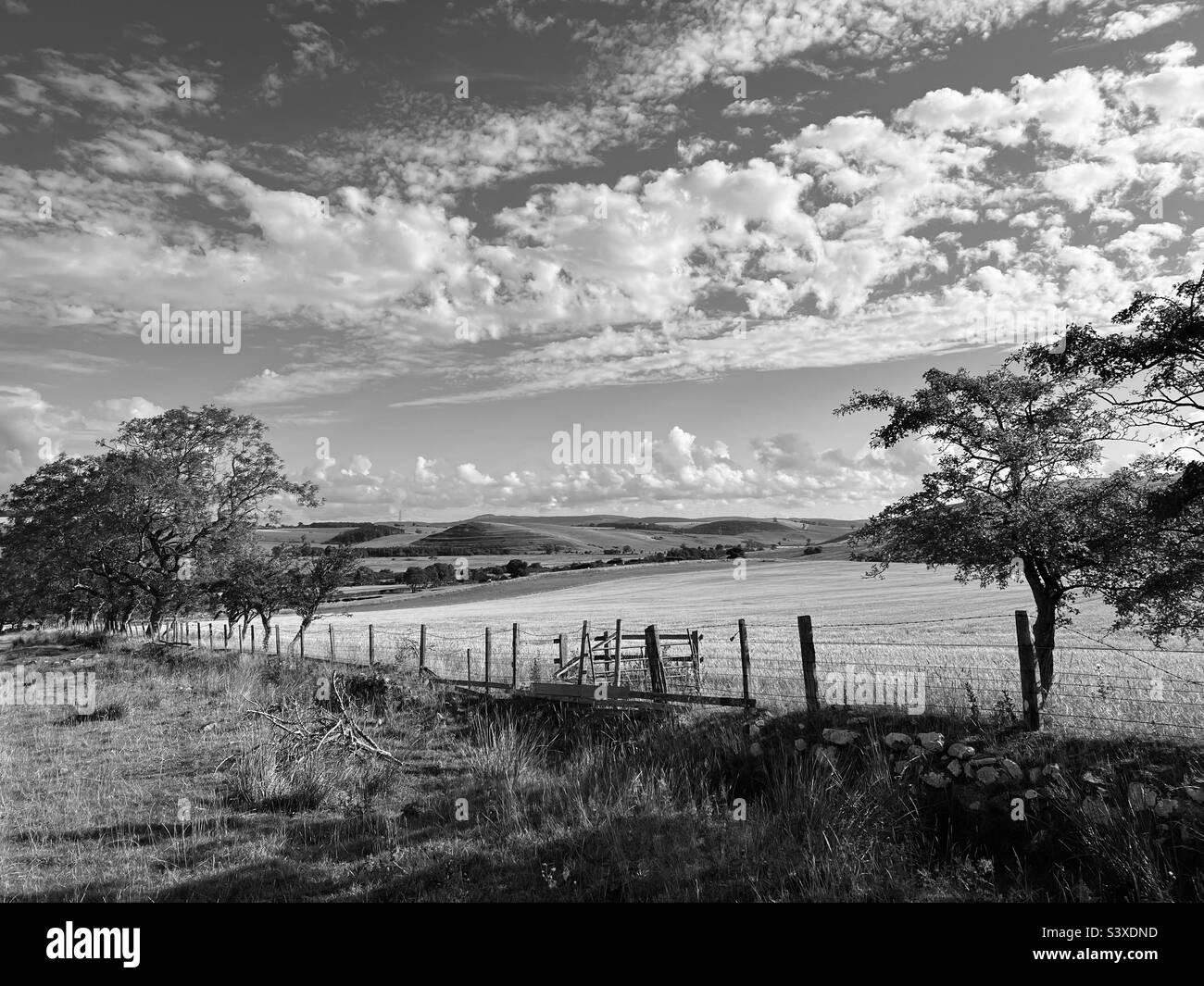 Rural scene black and white Black and White Stock Photos & Images - Alamy