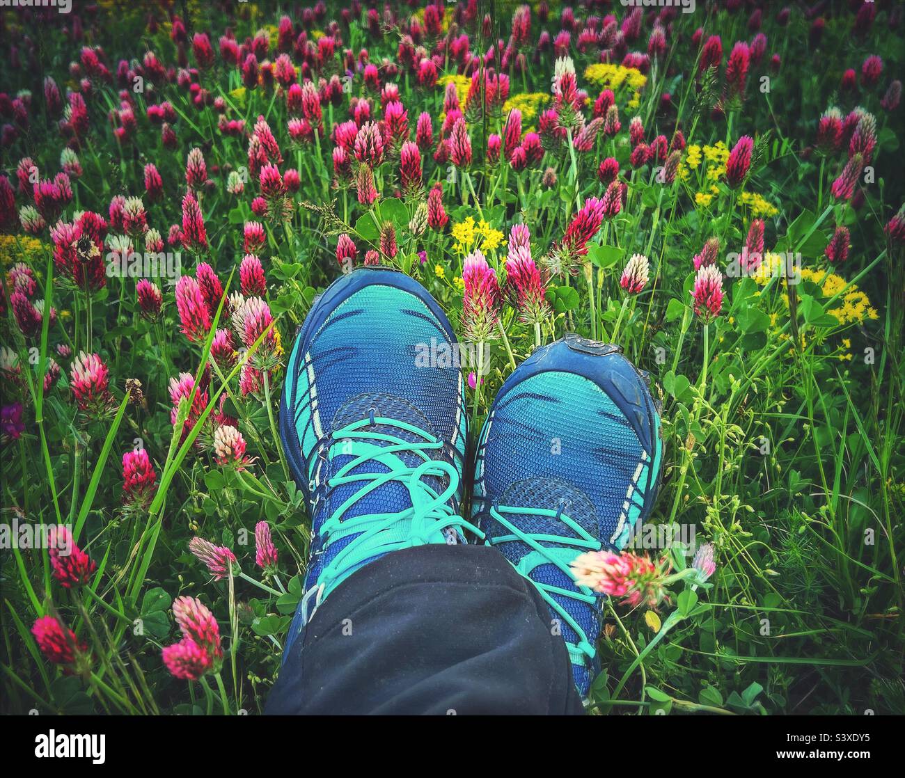Trail runner lying in the grass - Smartphone Captured Stock Image