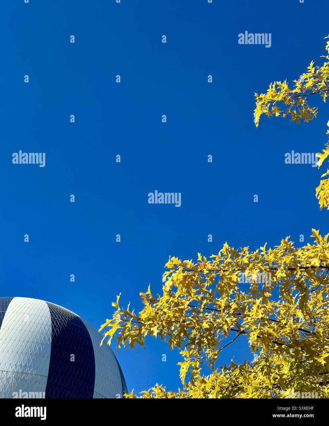 Autumn Balloon - Smartphone Captured Stock Image