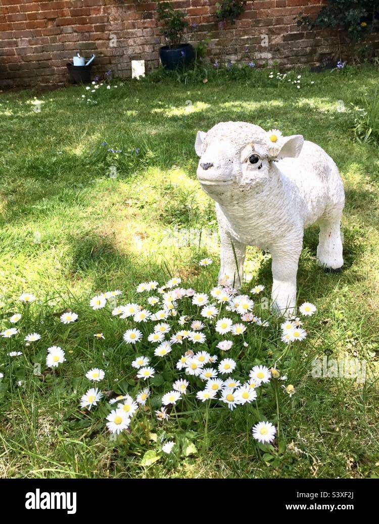 Sheep garden hi-res stock photography and images - Alamy