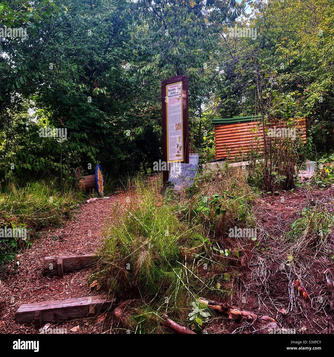 Buckthorne Cutting Nature Reserve runs alongside the railway line from Honor Oak Park and Brockley stations in South East London. It has a rich history and is a haven for wildlife. - Smartphone Captured Stock Image