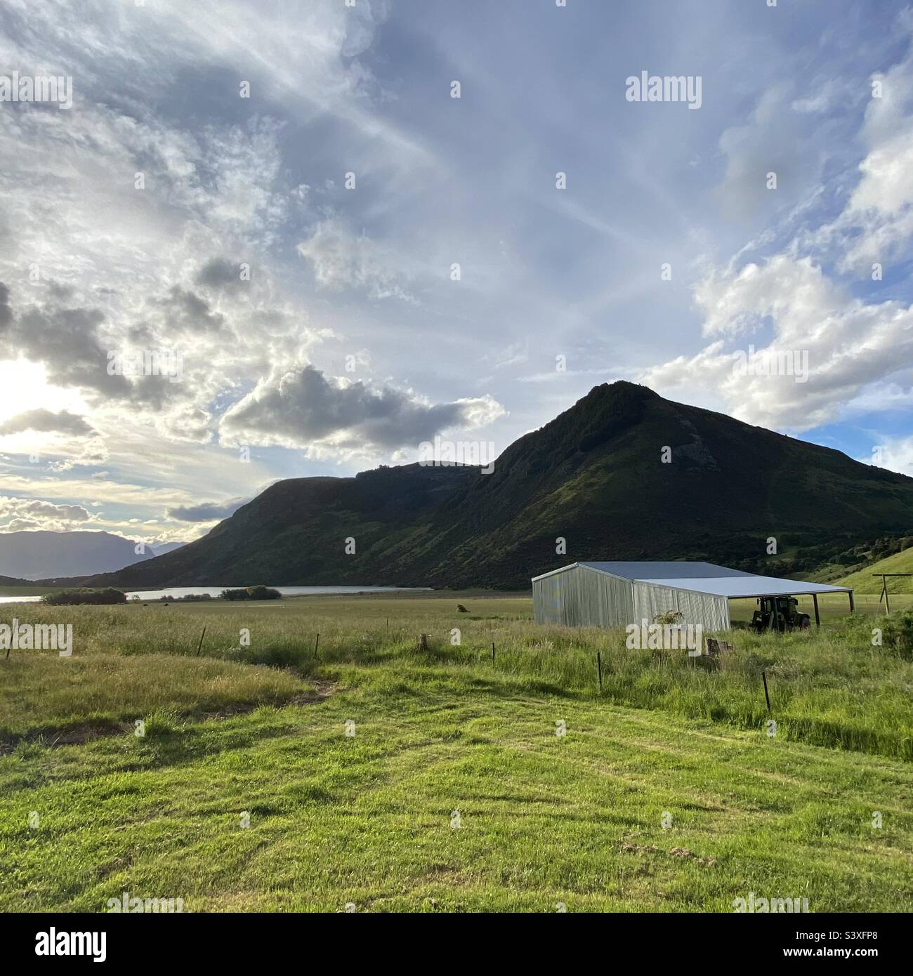 Sunset on a spring day on a remote farm in New Zealand Stock Photo Alamy