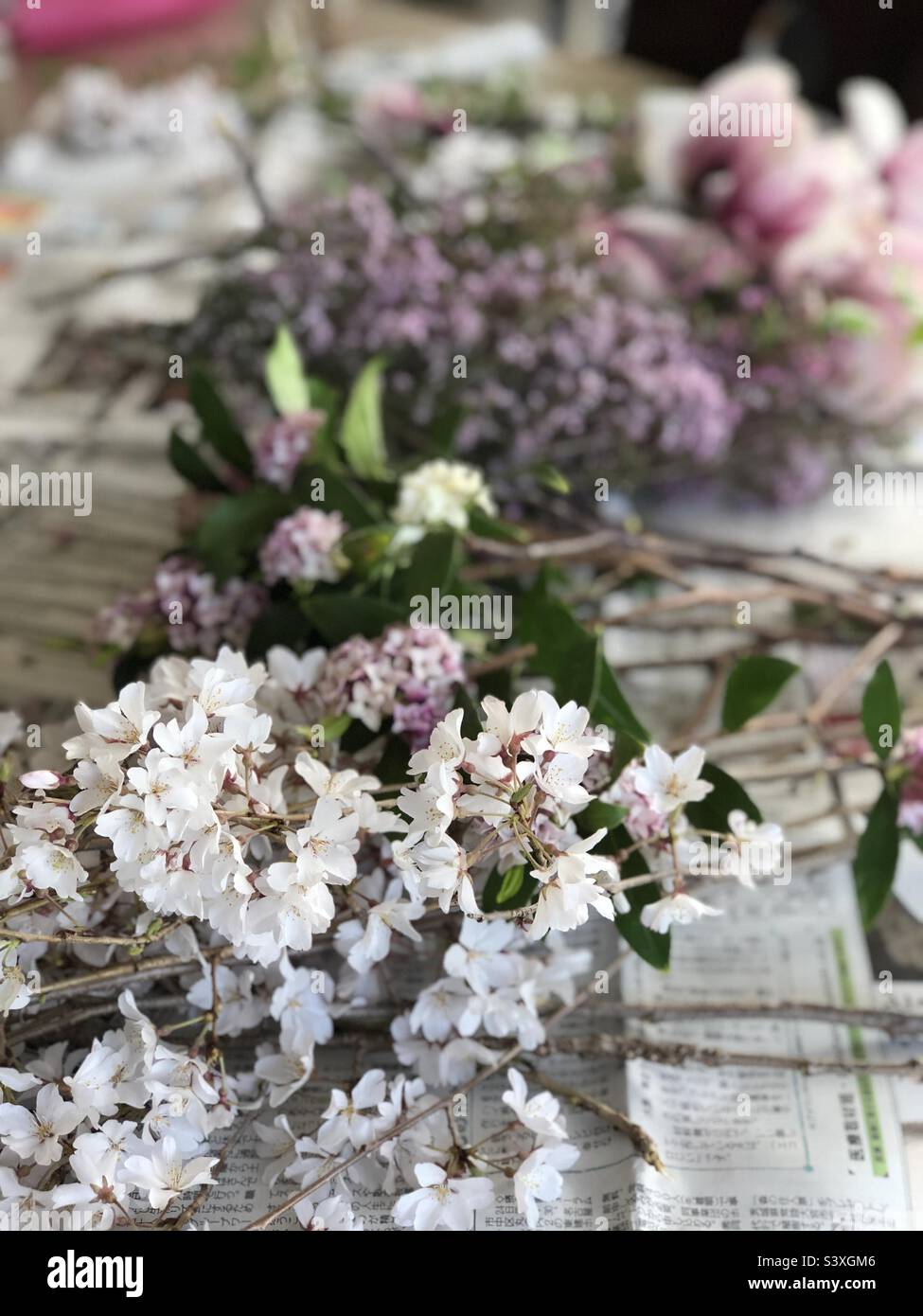Spring flowers from garden Stock Photo - Alamy