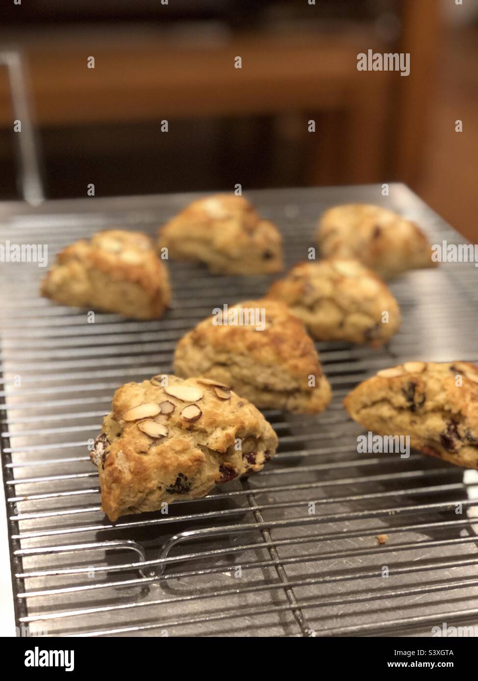 Raisin and almond Scone - Smartphone Captured Stock Image
