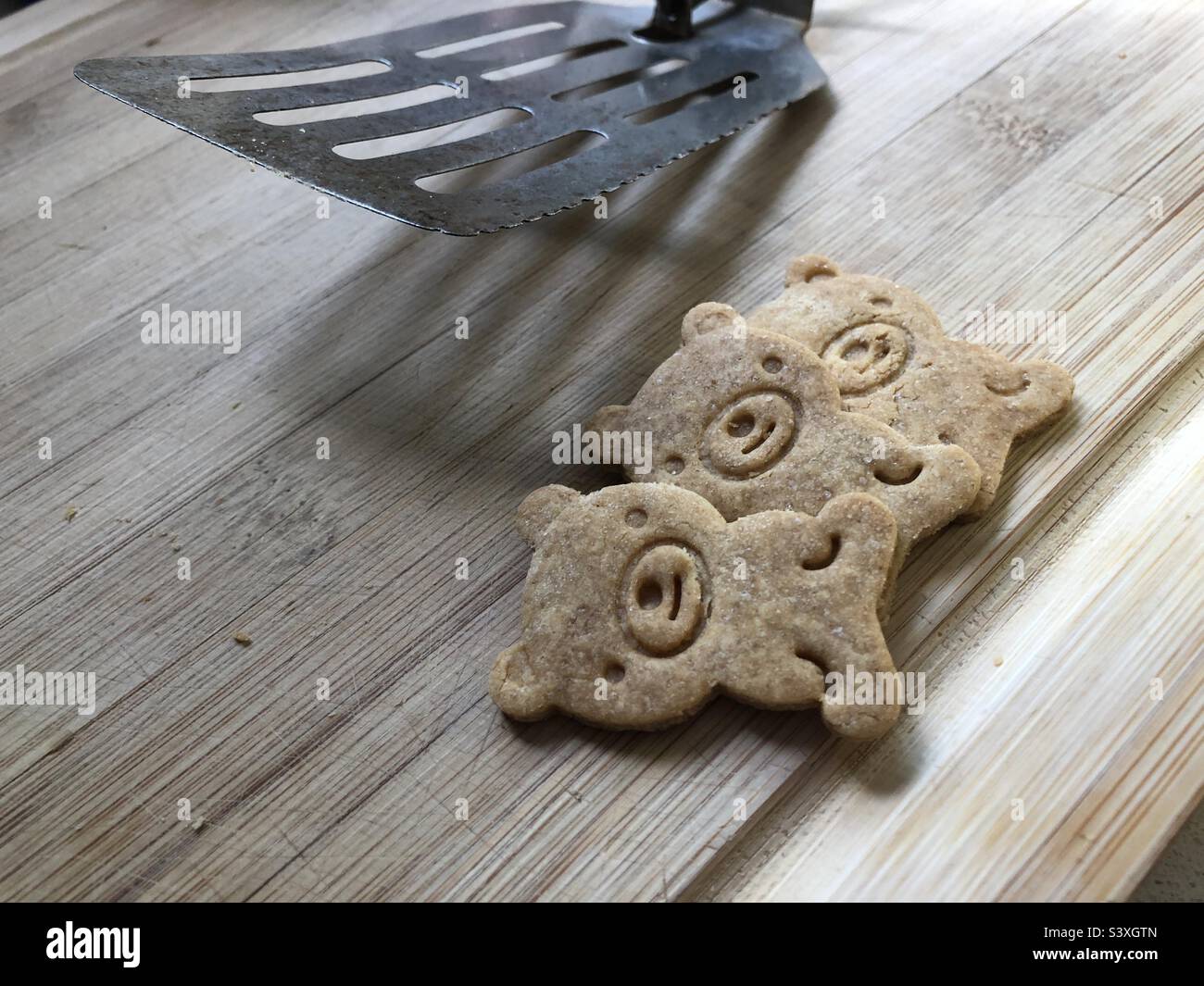 Animal Cookie Stock Photo