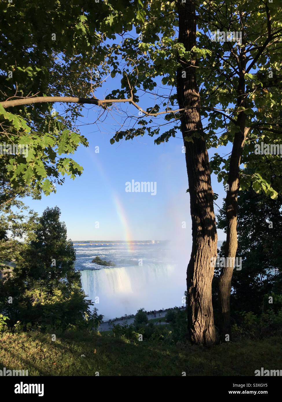 Rainbow seen through the trees at Niagara Falls, Canada. - Smartphone Captured Stock Image