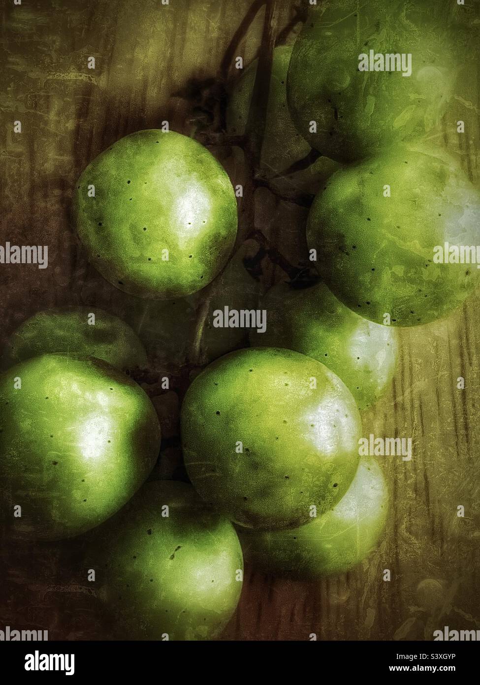 A small bunch of fresh green grapes placed upon a wooden kitchen table. Lighting and grunge effects applied using the IOS app Snapseed. - Smartphone Captured Stock Image