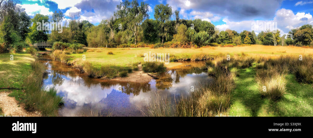 Flechs Water stream in September in the New Forest National Park Hampshire United Kingdom - Smartphone Captured Stock Image