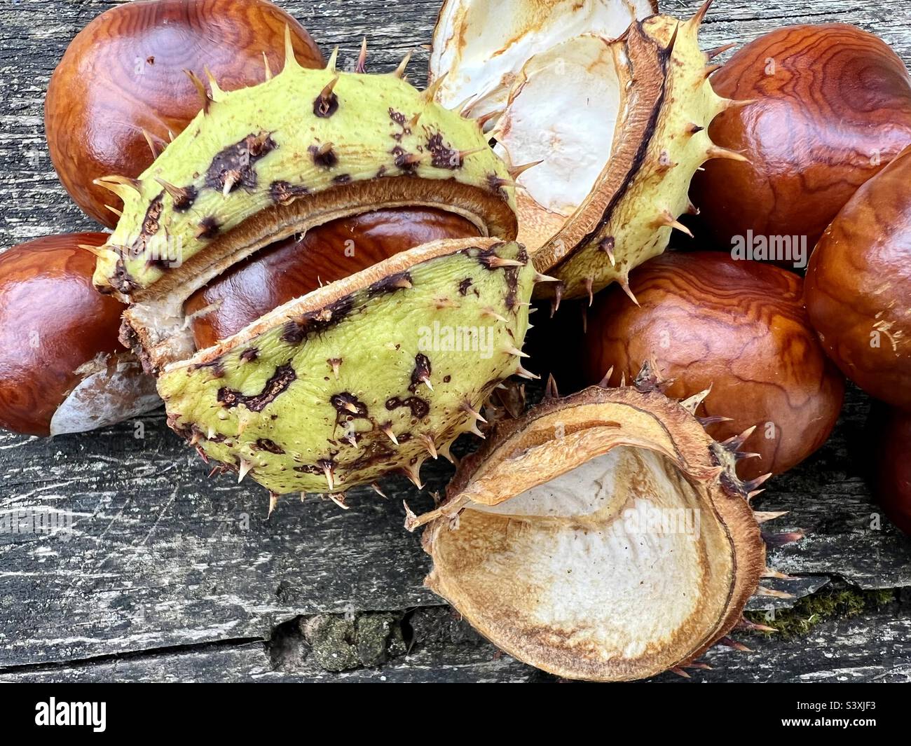 Nuts without shells hi-res stock photography and images - Alamy
