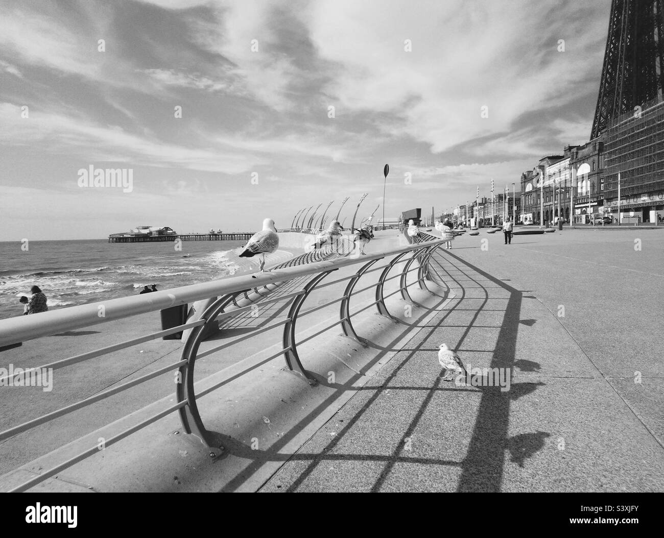 Black and white blackpool hi-res stock photography and images - Alamy