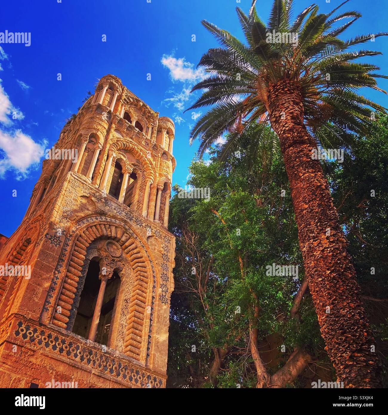 Church tower and palm tree in Palermo Sicily Stock Photo