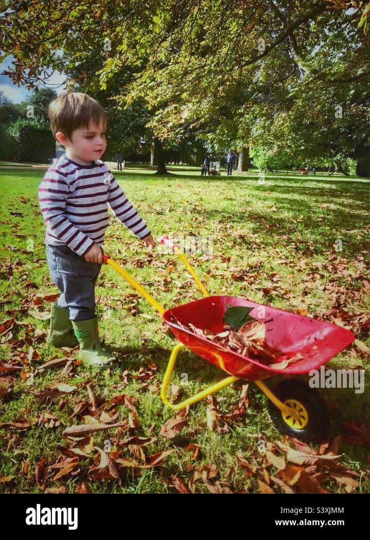 A little boy walking pushing a red wheelbarrow Stock Photo Alamy