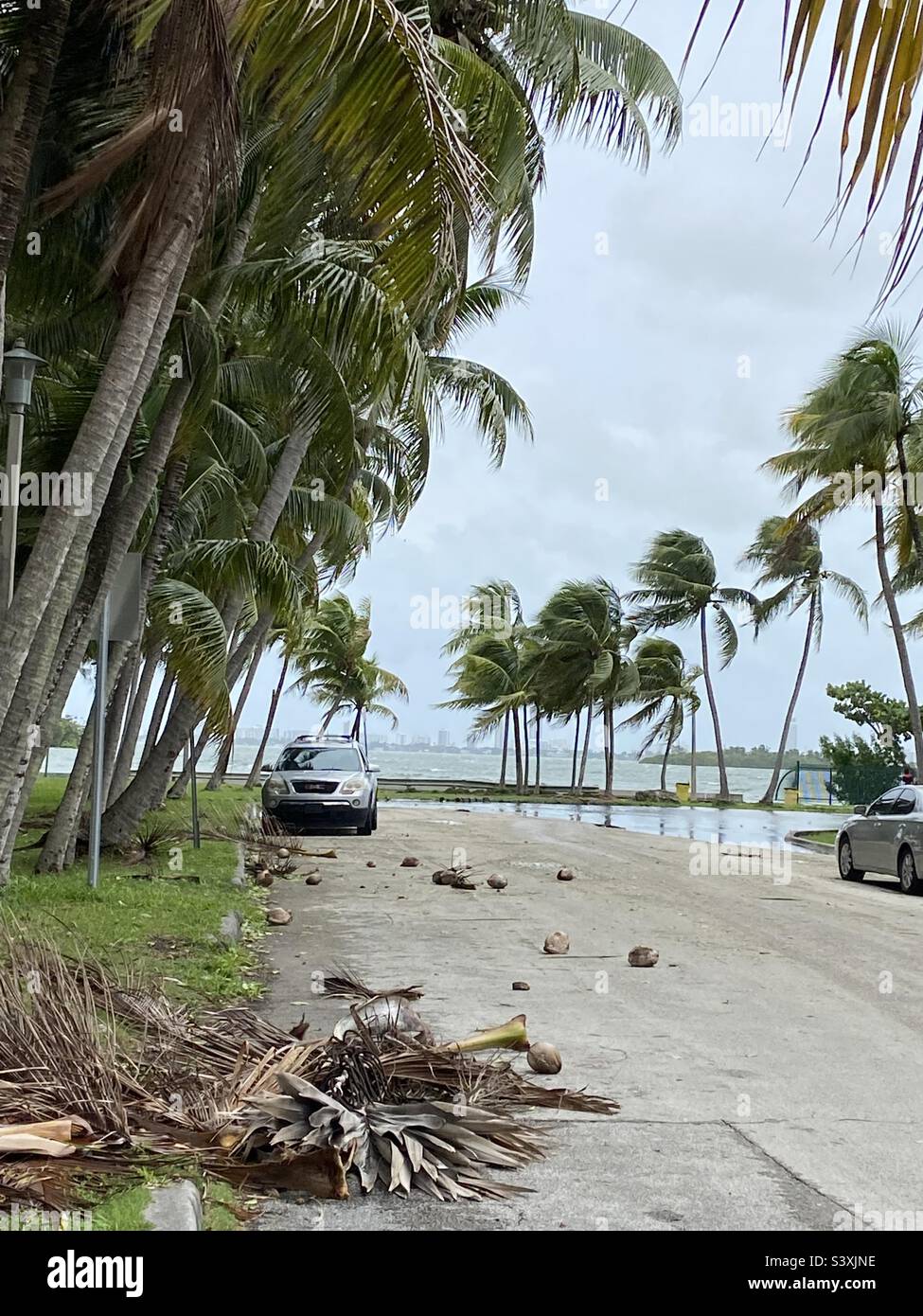 Morning side park in Miami-Dade county hours after Hurricane Ian passed by. Photo shows after math of storm swells and wind damage causing power outages in this waterfront neighborhood. Stock Photo