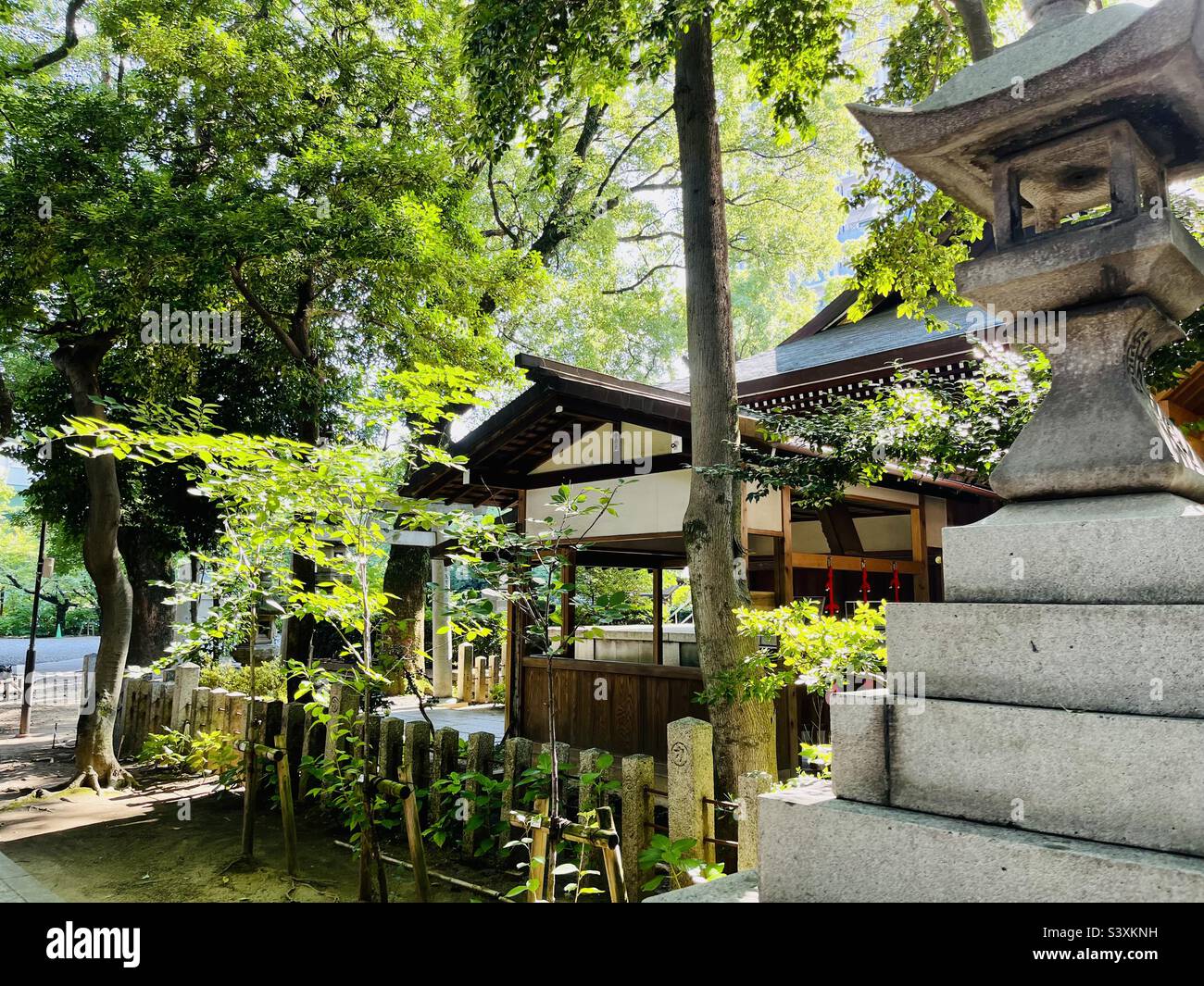 Wakamiya-Hachiman Shrine, Nagoya, Japan - Smartphone Captured Stock Image