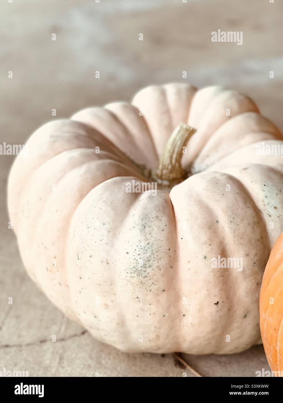 Cinderella pumpkins hires stock photography and images Alamy