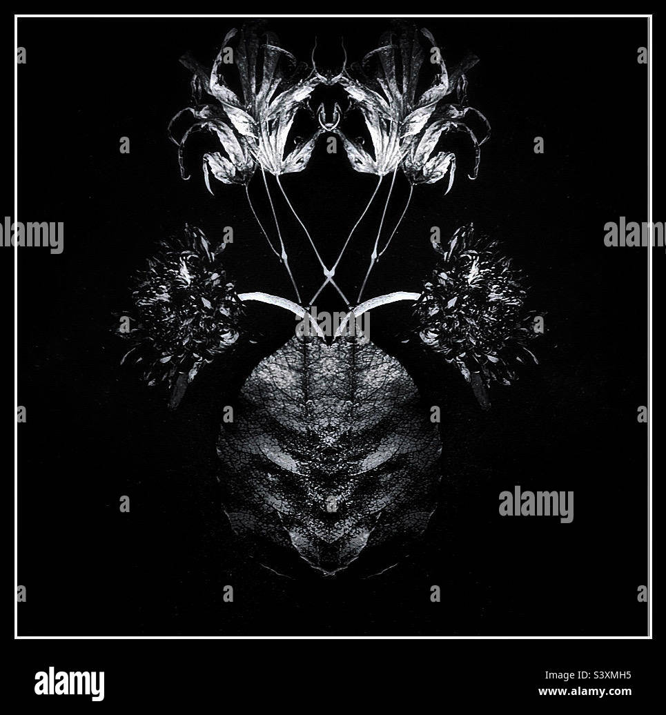 Digital Art - Smartphone Captured Stock Image