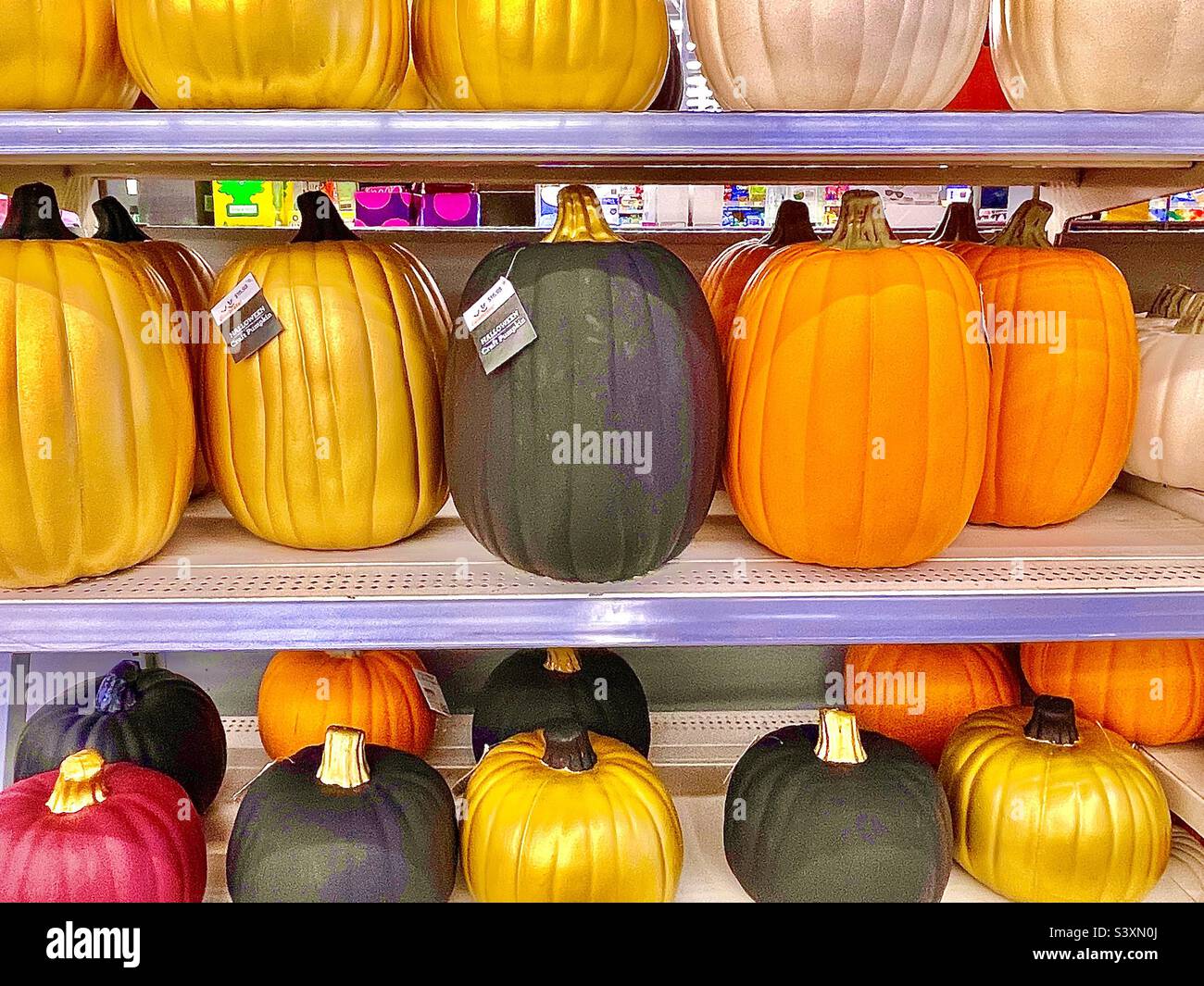 It’s autumn, my favorite season, and stores reflect that by stocking their shelves with autumnal products. These shelves, just inside the retailer’s main entrance, are lined with craft pumpkins. - Smartphone Captured Stock Image