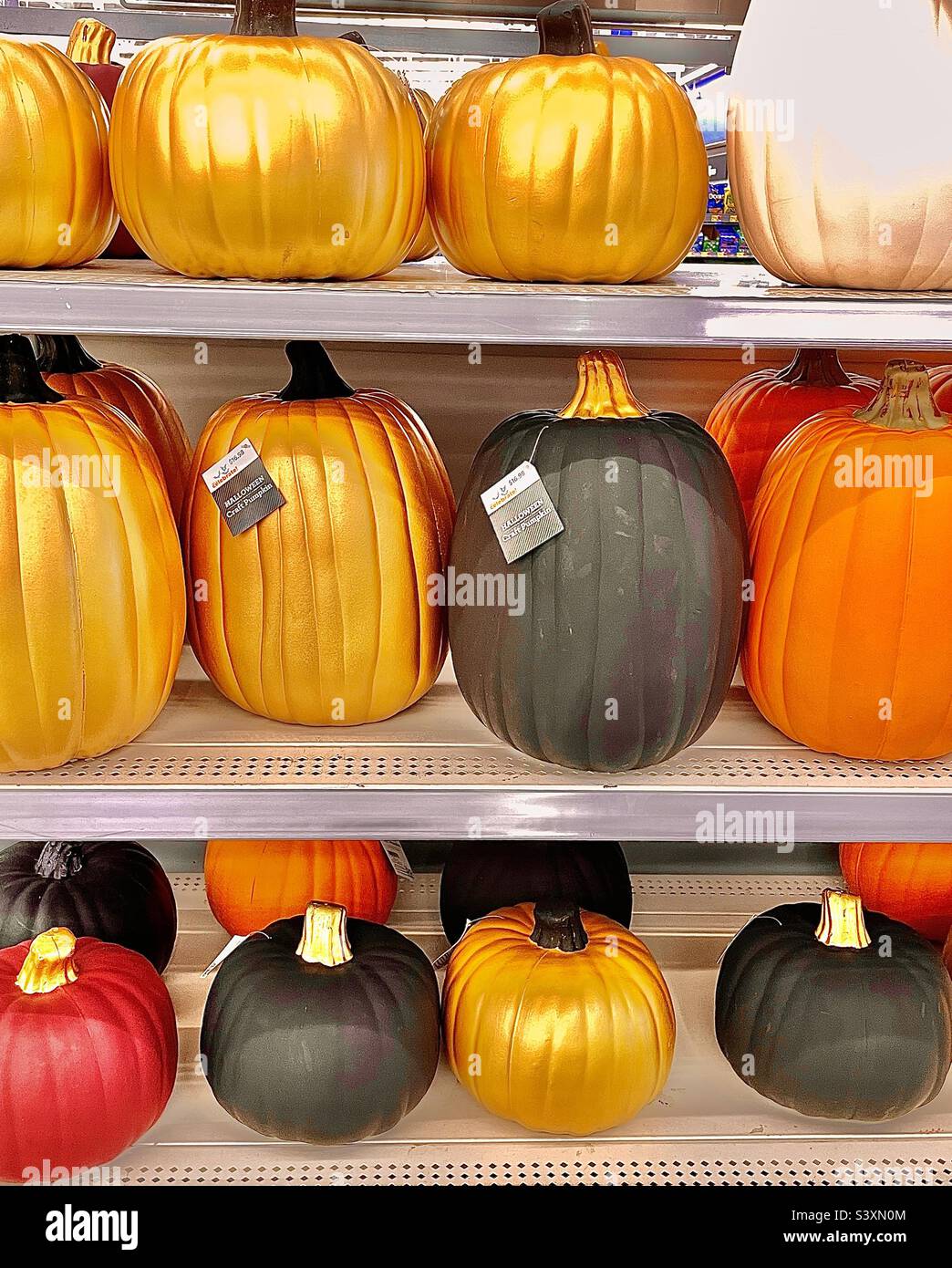 It’s autumn, my favorite season, and stores reflect that by stocking their shelves with autumnal products. These shelves, just inside the retailer’s main entrance, are lined with craft pumpkins. - Smartphone Captured Stock Image