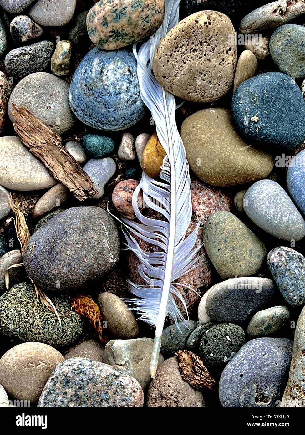 Feather washed up on colorful pebbles on the beach Stock Photo Alamy