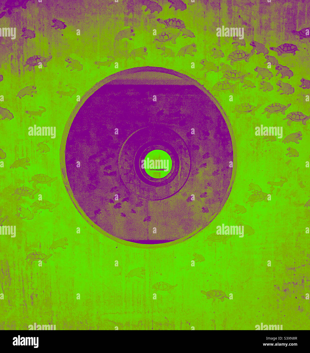 Circles and turtles. - Smartphone Captured Stock Image