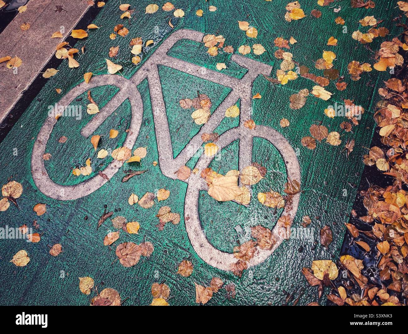 A green bicycle lane in autumn with fallen autumn leaves on the ground making it slippery - Smartphone Captured Stock Image