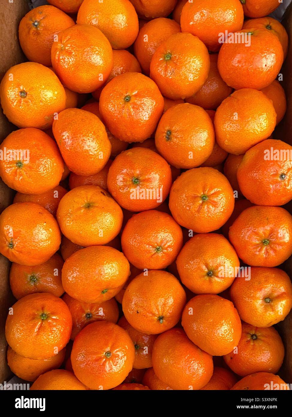 Tangerines on display on a market stall. No people. Stock Photo