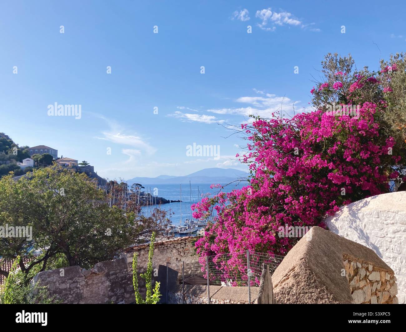 Pink Bougainvillea with a view of the sea behind, on Hydra, Greece - Smartphone Captured Stock Image