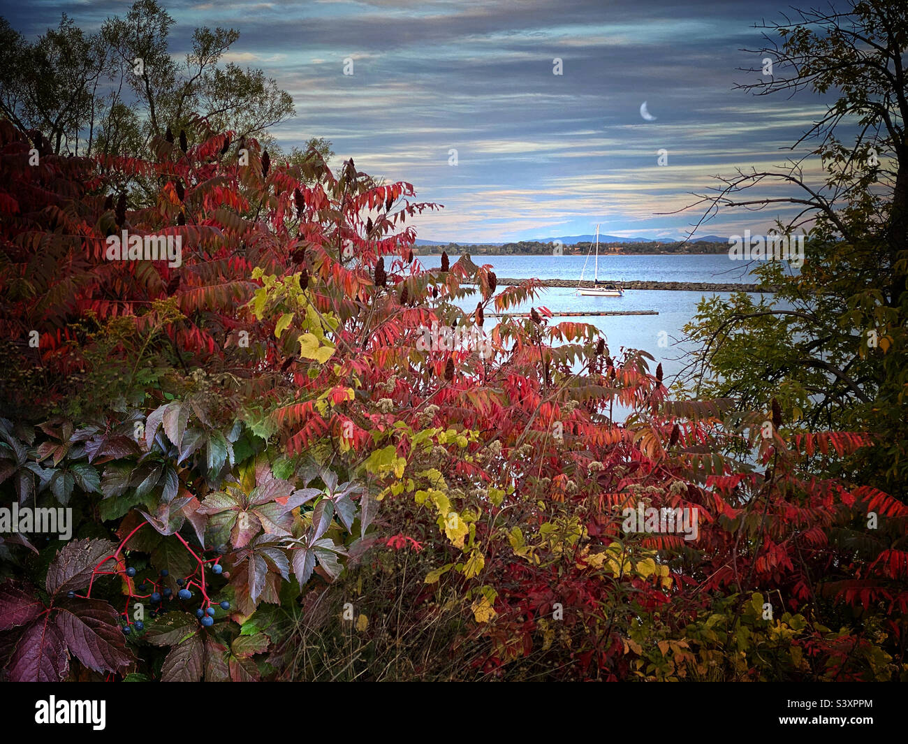Autumn foliage along the shore of Lake Champlain - Smartphone Captured Stock Image