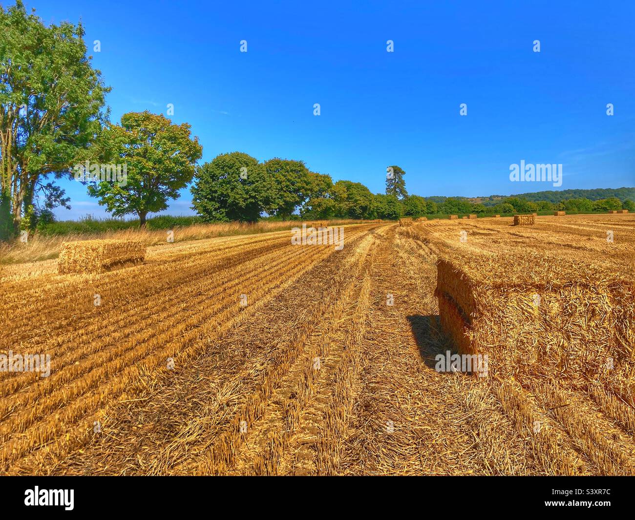 English summer landscape, stubble field after harvest with traditional hay bales, Somerset, U.K. Stock Photo