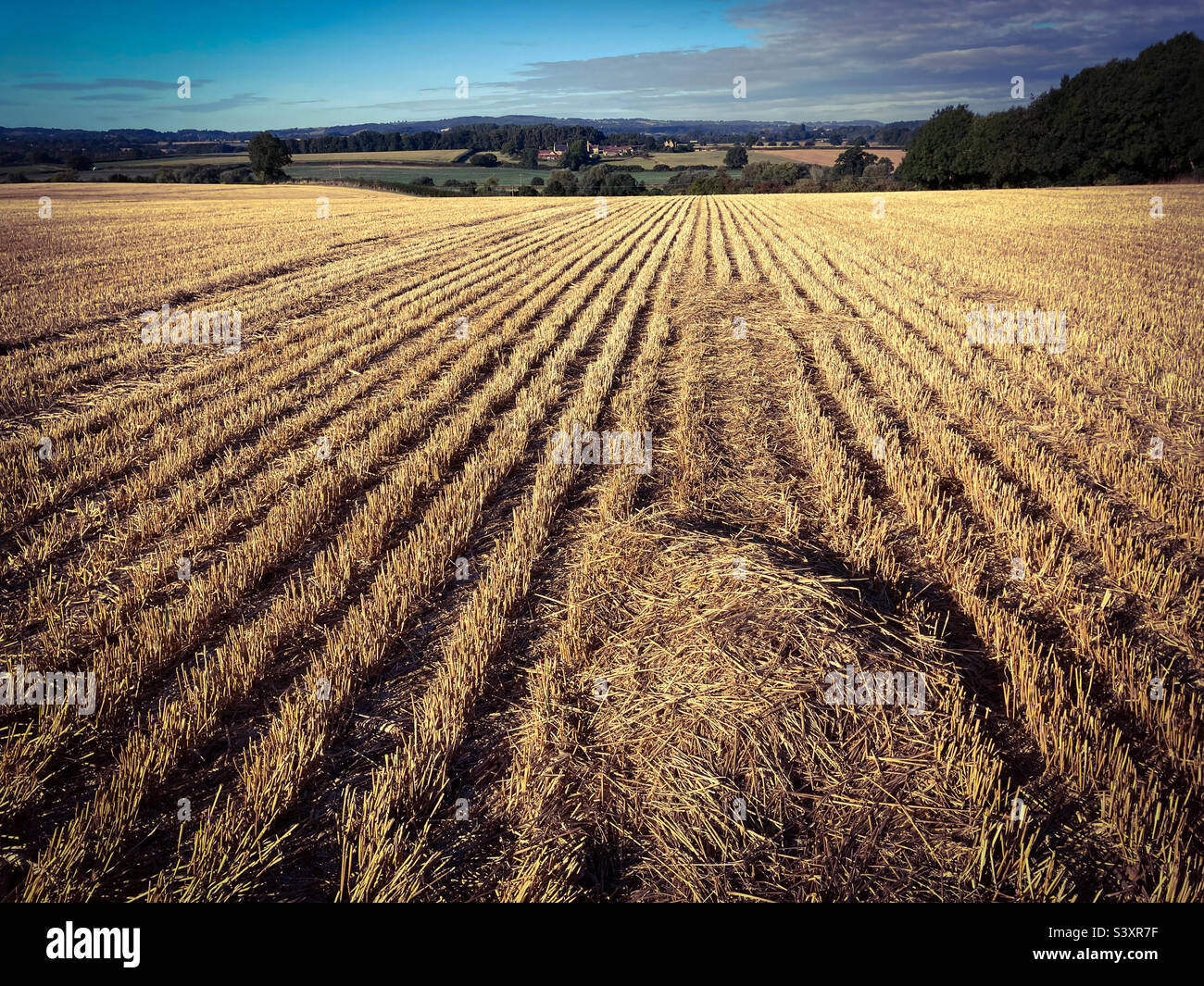 Agricultural landscape, view to distant hills over stubble field with hay bales, Somerset, England Stock Photo