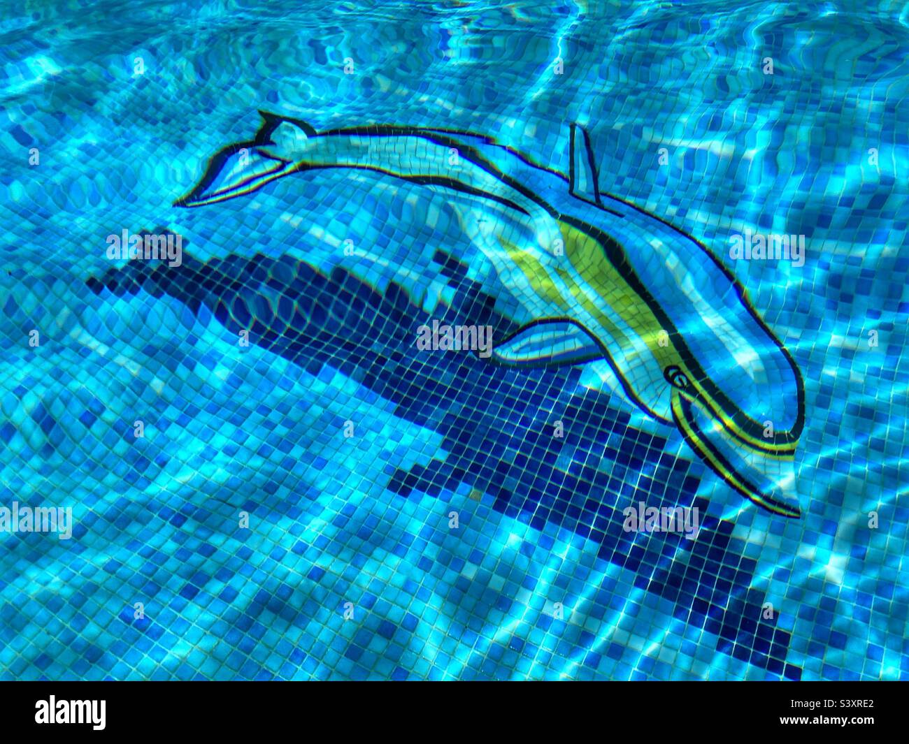 Dolphin mosaic in swimming pool Stock Photo