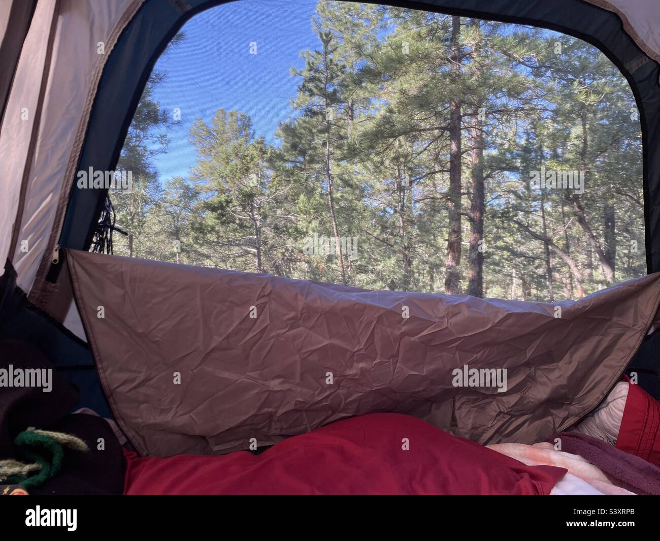 Tent camping, Grand Canyon south rim Stock Photo Alamy