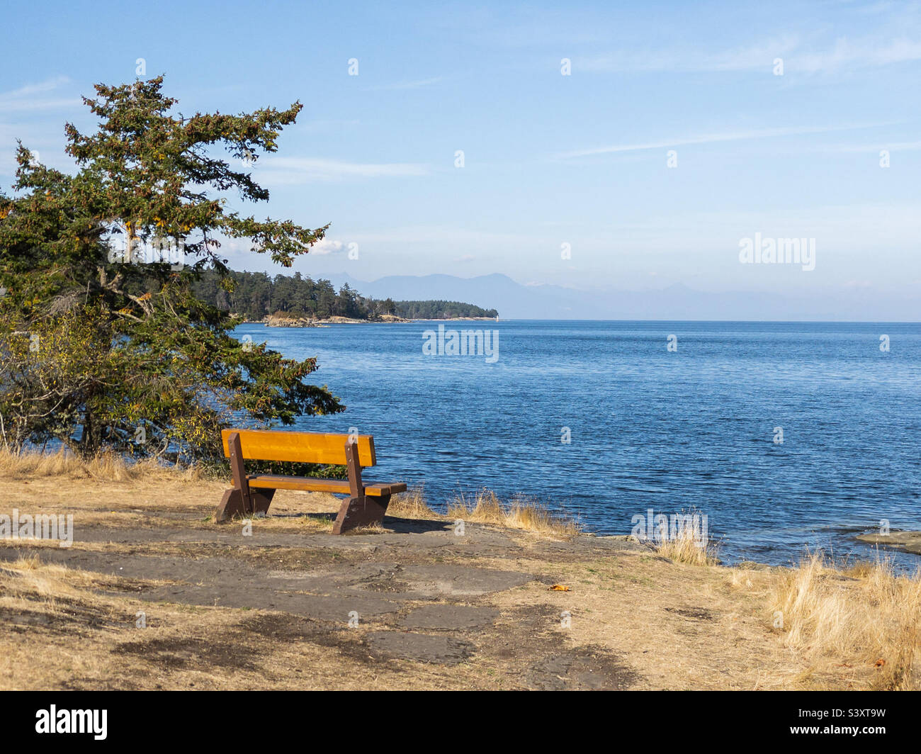 A bench with a view overlooking the Strait of Georgia, on a sunny autumn day in a park on Gabriola Island, British Columbia. - Smartphone Captured Stock Image